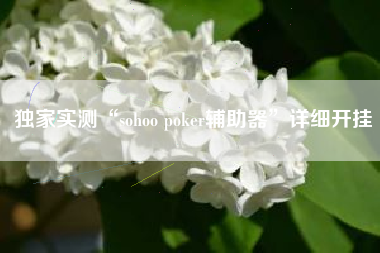 独家实测“sohoo poker辅助器”详细开挂