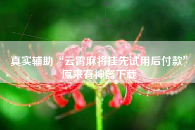 真实辅助“云霄麻将挂先试用后付款	”原来有神器下载