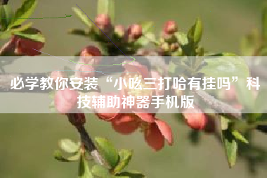 必学教你安装“小吆三打哈有挂吗	”科技辅助神器手机版