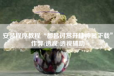 安装程序教程“都昌讨赏开挂神器下载”作弊(透视)透视辅助