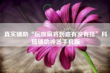 真实辅助“玩呗麻将到底有没有挂”科技辅助神器手机版