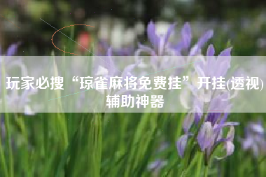 玩家必搜“琼雀麻将免费挂”开挂(透视)辅助神器