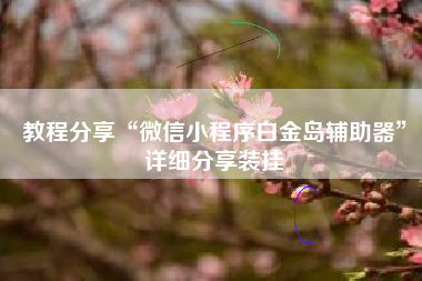 教程分享“微信小程序白金岛辅助器”详细分享装挂