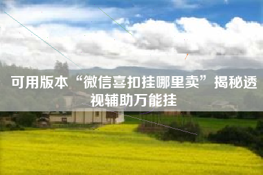 可用版本“微信喜扣挂哪里卖”揭秘透视辅助万能挂