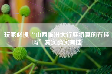 玩家必搜“山西临汾太行麻将真的有挂吗”其实确实有挂