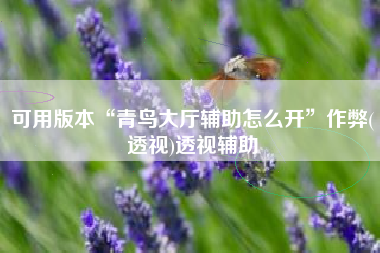可用版本“青鸟大厅辅助怎么开”作弊(透视)透视辅助