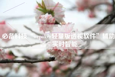 必备科技“wepoker轻量版透视软件	”辅助器 - 实时智能