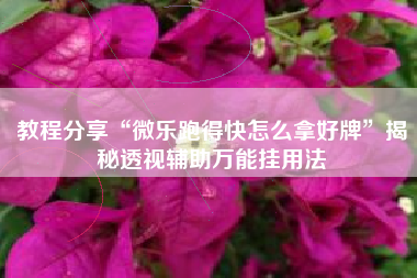 教程分享“微乐跑得快怎么拿好牌”揭秘透视辅助万能挂用法
