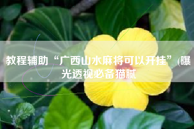 教程辅助“广西山水麻将可以开挂	”(曝光透视必备猫腻