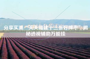 分享实测“天天福建十三张好牌率	”揭秘透视辅助万能挂