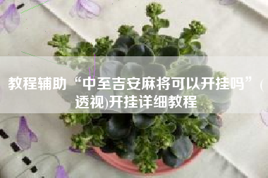 教程辅助“中至吉安麻将可以开挂吗	”(透视)开挂详细教程