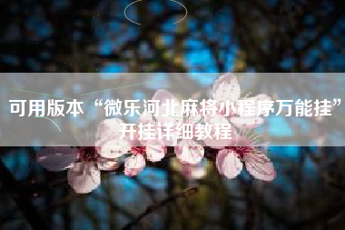 可用版本“微乐河北麻将小程序万能挂”开挂详细教程