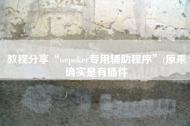 教程分享“wepoker专用辅助程序”(原来确实是有插件