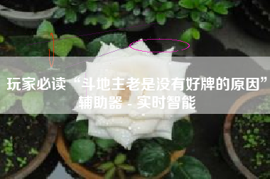 玩家必读“斗地主老是没有好牌的原因”辅助器 - 实时智能