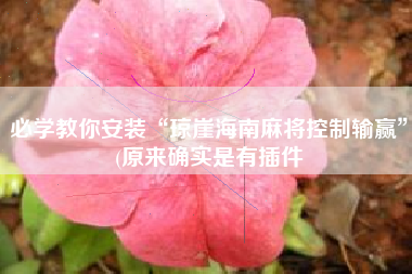 必学教你安装“琼崖海南麻将控制输赢”(原来确实是有插件