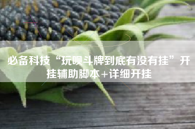 必备科技“玩呗斗牌到底有没有挂”开挂辅助脚本+详细开挂