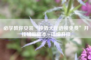 必学教你安装“神盾大厅透视免费	”开挂辅助脚本+详细开挂