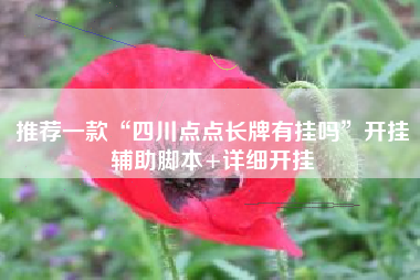 推荐一款“四川点点长牌有挂吗”开挂辅助脚本+详细开挂