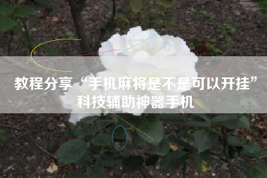 教程分享“手机麻将是不是可以开挂”科技辅助神器手机