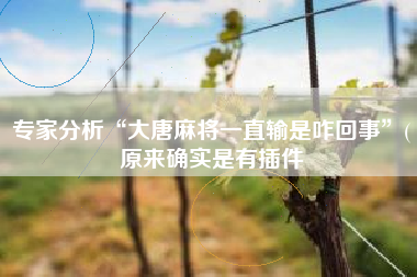 专家分析“大唐麻将一直输是咋回事”(原来确实是有插件