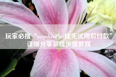 玩家必搜“wepokerPlus挂先试用后付款”详细分享装挂步骤教程