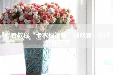 必看教程“卡农透视器	”辅助器 - 实时智能回复
