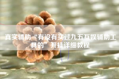 真实辅助“有没有买过九五互娱辅助工具的”开挂详细教程