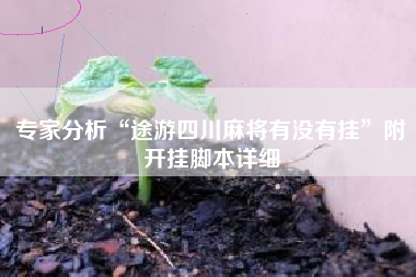 专家分析“途游四川麻将有没有挂	”附开挂脚本详细