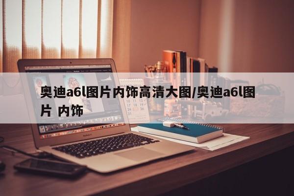 奥迪a6l图片内饰高清大图/奥迪a6l图片 内饰